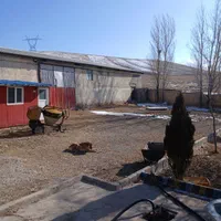 فروش گاوداری بر جاده خواجه ورزقان ۷۰۰۰ متری|فروش دفتر صنعتی، کشاورزی، تجاری|اهر, |دیوار