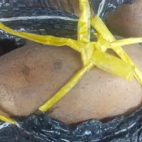 خلال سیب زمینی تضمینی