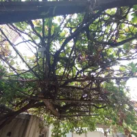 فروش خانه ویلایی ۱۲۶ متری ۱ خوابه در خاوران