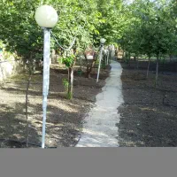 سوییت زیبا وشیک در ویلا باغ با امکانات