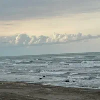 مشارکت در ساخت و تهاتر|مشارکت در ساخت املاک|رامسر, |دیوار