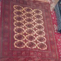 قالیچه دستباف ترکمن|فرش|گلبهار, شهر جدید گلبهار|دیوار