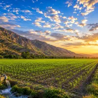 فروش-زمین-کشاورزی-همراه-چاه-آب