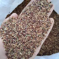 کنجد خرید وفروش