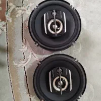 باند پایونیر اصل