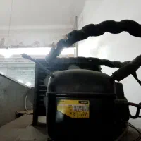 یخچال فروشگاهی شیش درب و یخچال بستنی|فروشگاه و مغازه|ساری, |دیوار