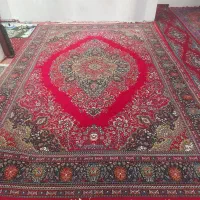 فرش دست دوم خانگی|فرش|نقده, |دیوار
