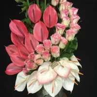 متن را بخانید