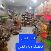ملزومات پرندگان.دان|لوازم جانبی حیوانات|قم, پردیسان|دیوار