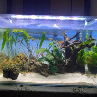 اکواریوم با تجهیزات
