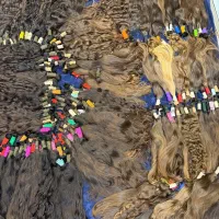 موهای بلند شما را خریداریم