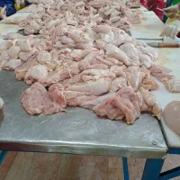 مرغ قطعه بندی مرغ