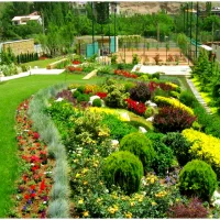 خدمات نظافت ، احداث و نگهداری فضای سبز، سم پاشی|خدمات باغبانی و درختکاری|هچیرود, |دیوار