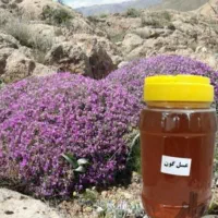 کارنیکا آلمانی درجه یک ع سل