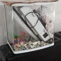 اکواریوم