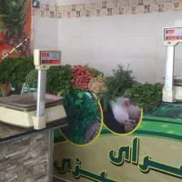 ترازو کارین چاپگردار