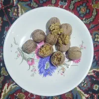 گردو فروشی