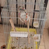 قفس|لوازم جانبی حیوانات|تهران, نارمک جنوبی|دیوار
