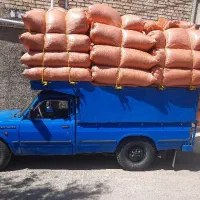 خریدار کاه گندم و جو