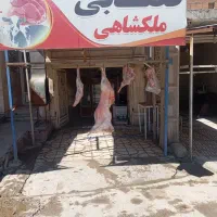 گوشت درجه یک