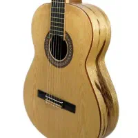 استخدام  نیروی کار