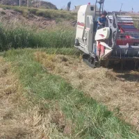 نیازمند راننده کمباین زنجیری