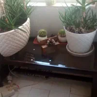 میز گل سالم یک میلیون تومن