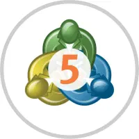 نصب تخصصی متاتریدر لایت فایننس metatrader نت ملی