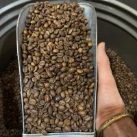 قهوه گلد برزیل Cocam و انواع میکس|عمدهفروشی|شیراز, گلکوب|دیوار