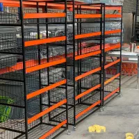 انواع قفسهه645|فروشگاه و مغازه|لار, |دیوار