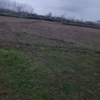 زمین بیجاری متری پنج تومن متراژ1000متر