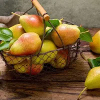 پیش فروش نهال گلابی بارتلت|خدمات باغبانی و درختکاری|سی‌سخت, |دیوار