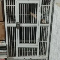 قفس پرنده مخصوص کاسکو، آرا، کاکادو، شاه طوطی، عروس|لوازم جانبی حیوانات|تهران, افسریه شمالی|دیوار