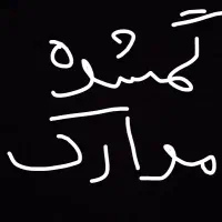 کیف مدارک گمشده کارت ملی گواهینامه کارت ماشین