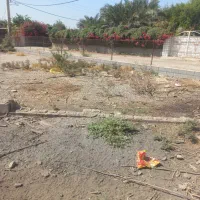 فروش زمین باغ ویلا|فروش دفتر صنعتی، کشاورزی، تجاری|شوشتر, |دیوار