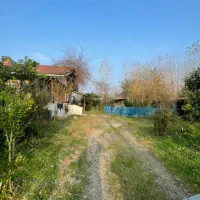 خانه و شالیزار 15هزار متری|فروش خانه و ویلا|رشت, دیلمان|دیوار