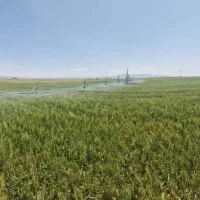 تراکتور|خودرو سنگین|تهران, گیشا|دیوار