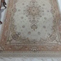 فرش پاتریس|فرش|ارومیه, |دیوار