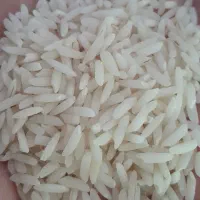 برنج اعلا هاشمی گیلان