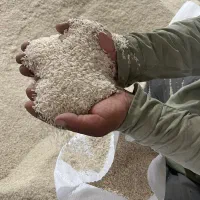 پخش و فروش برنج درجه یک در شالیکپبی مدرن|خدمات پذیرایی، مراسم|ساری, |دیوار