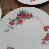 بشقاب چینی گل سرخی|ظروف سرو و پذیرایی|رشت, رشتیان|دیوار