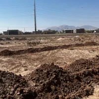 ۲۱۵ متر »» امام حسن / موقعیت جنوبی