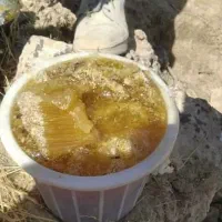 فروش عسل وحشی کوه