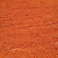 تفاله گوجه