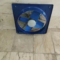 فن مارک دمنده