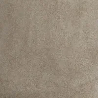 پالاز موکت|موکت|دهدشت, |دیوار