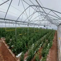 ساخت گلخانه|خدمات پیشه و مهارت|ارومیه, |دیوار