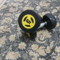 دمبل