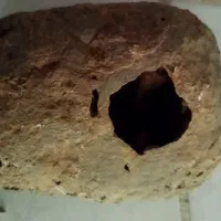 سنگ مریخ