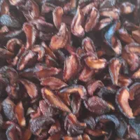 آلو خشک همه مدل